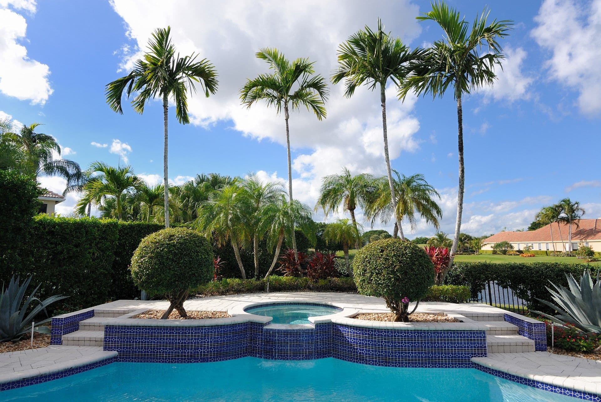 Tropical pool area with turquoise water, spa jets, and blue tile accents surrounded by tall palm trees and manicured landscaping in a residential backyard