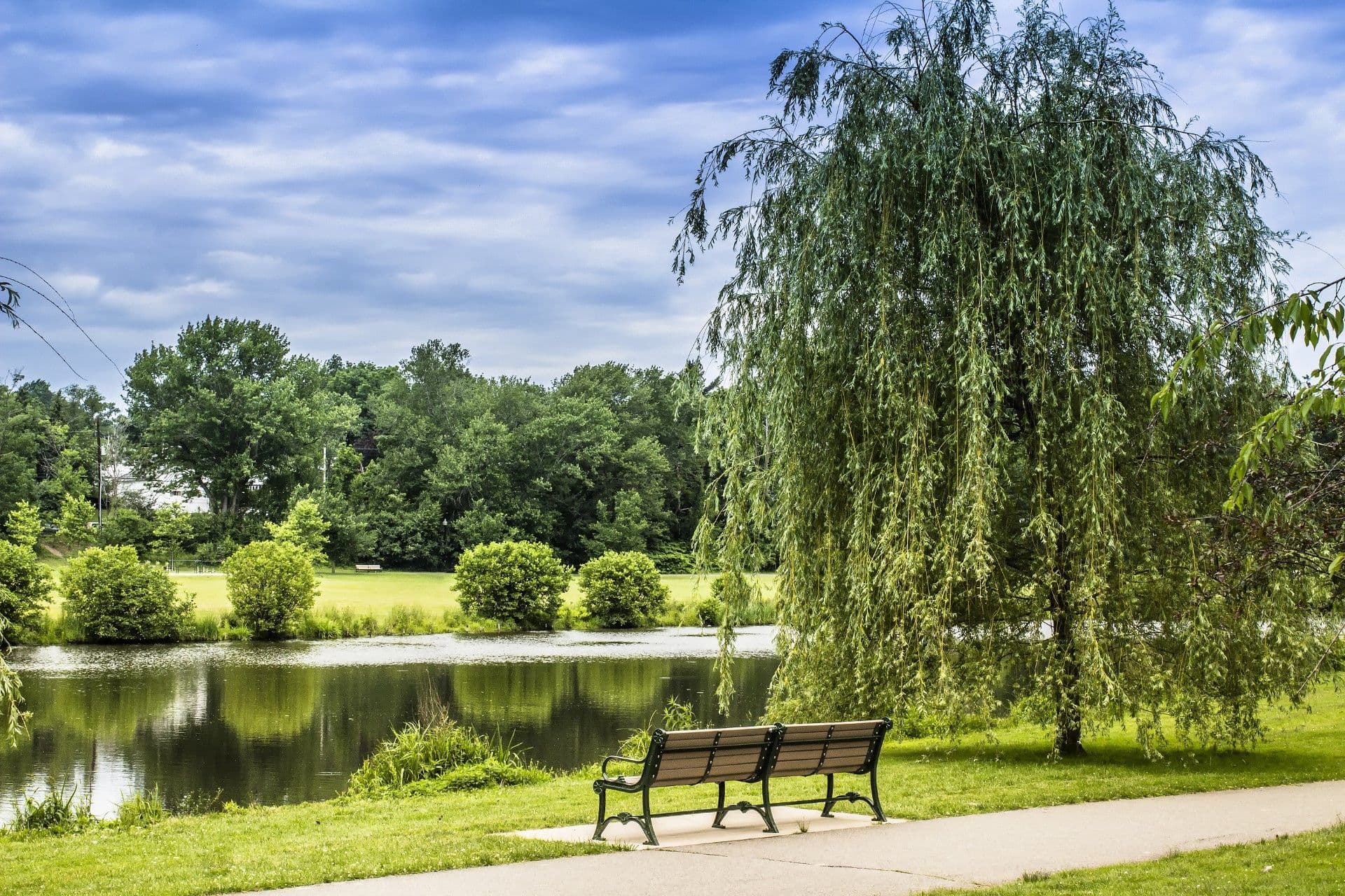 Park bench on path beside weeping willow tree overlooking calm pond with green lawn and trees in background