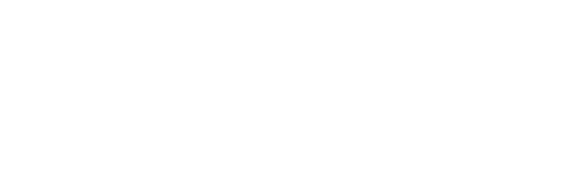 PURE Logo - white